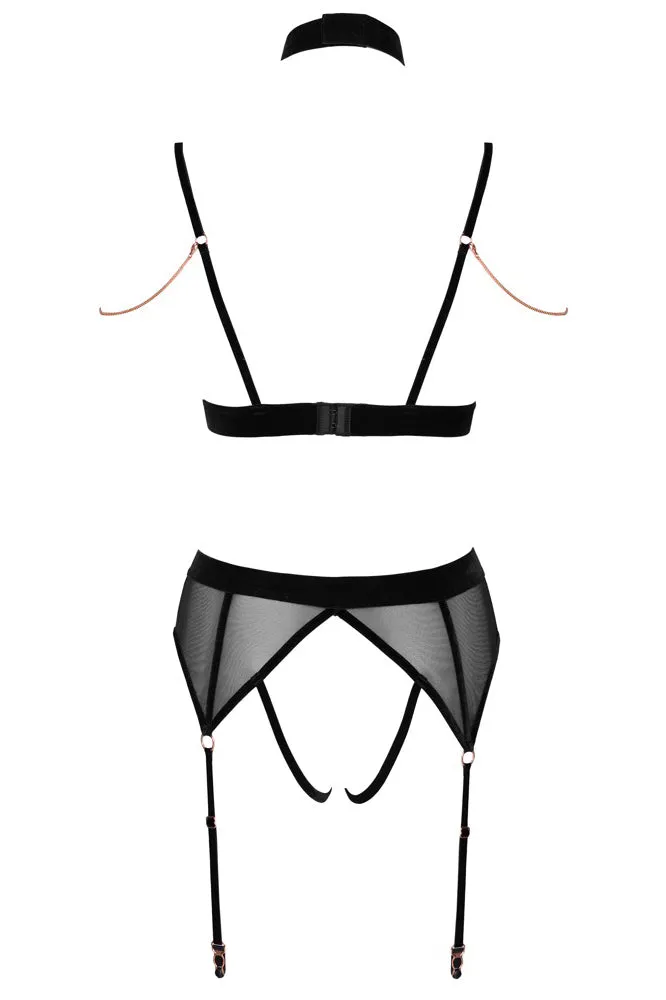 Abierta Fina Bra and Suspender Set