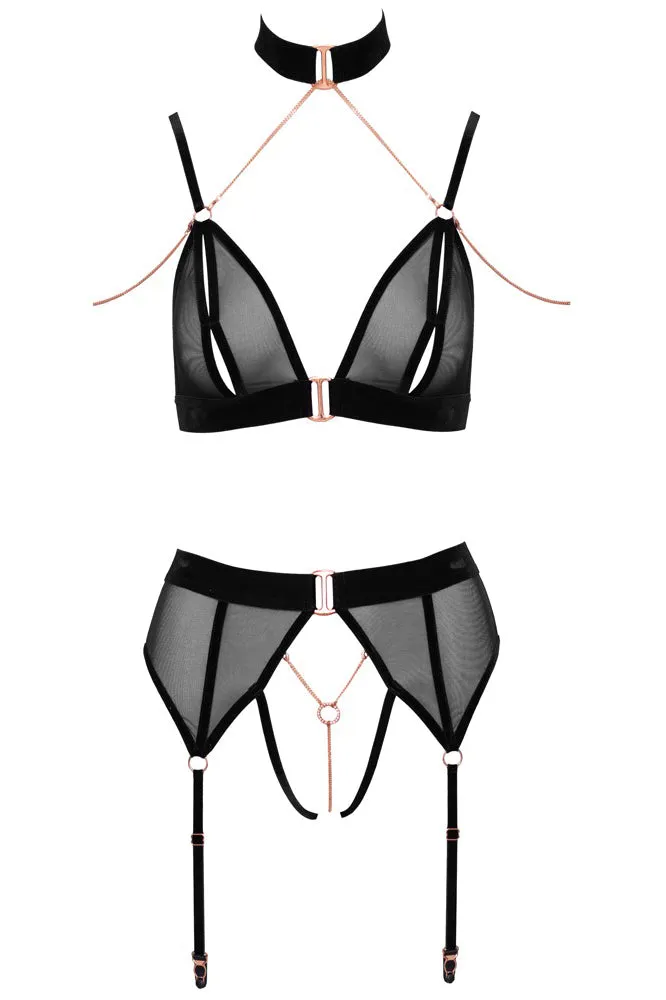 Abierta Fina Bra and Suspender Set