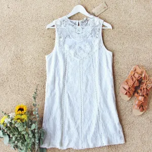 Lace Moonlight Dress