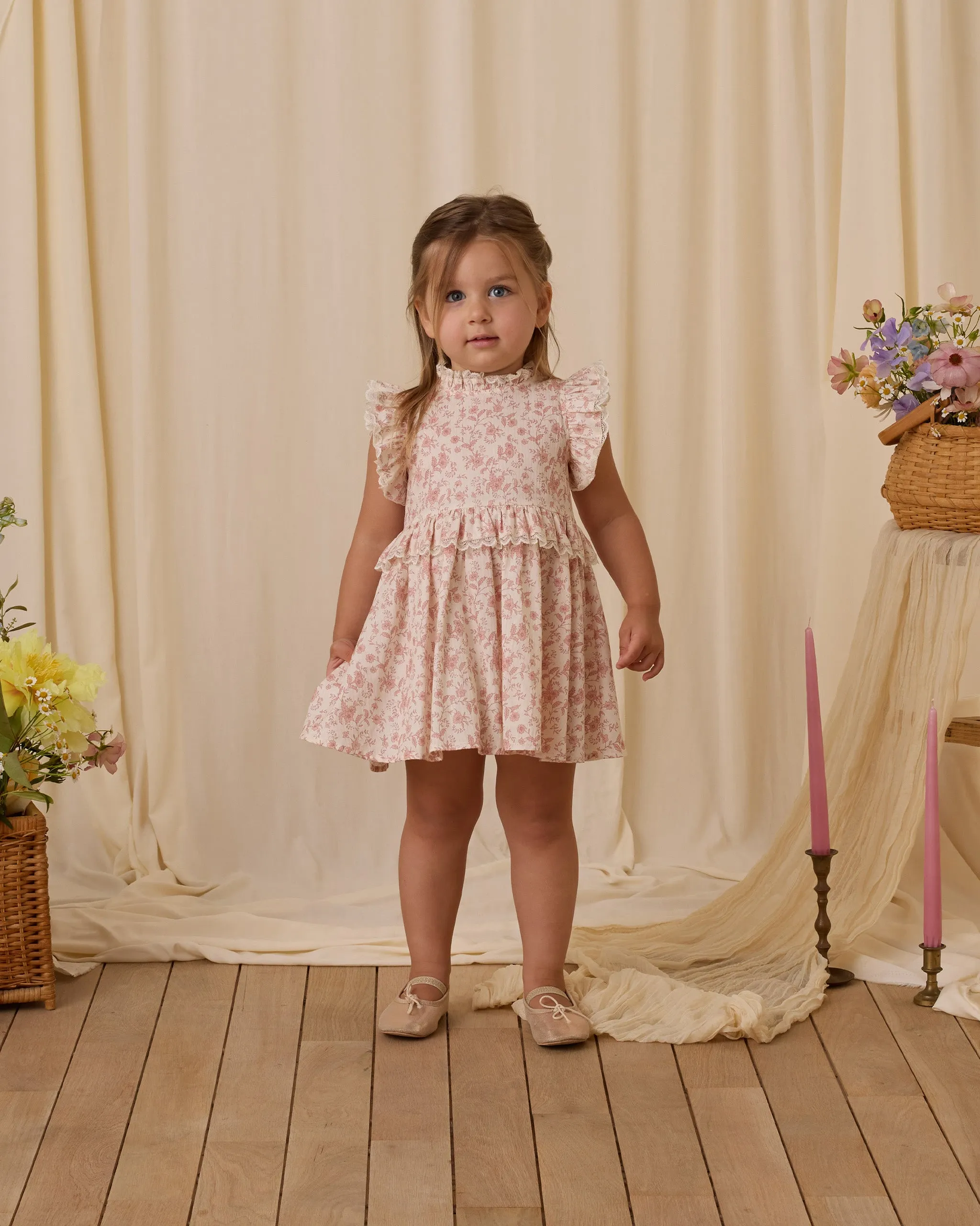 Noralee Alice Dress - Pink Toile