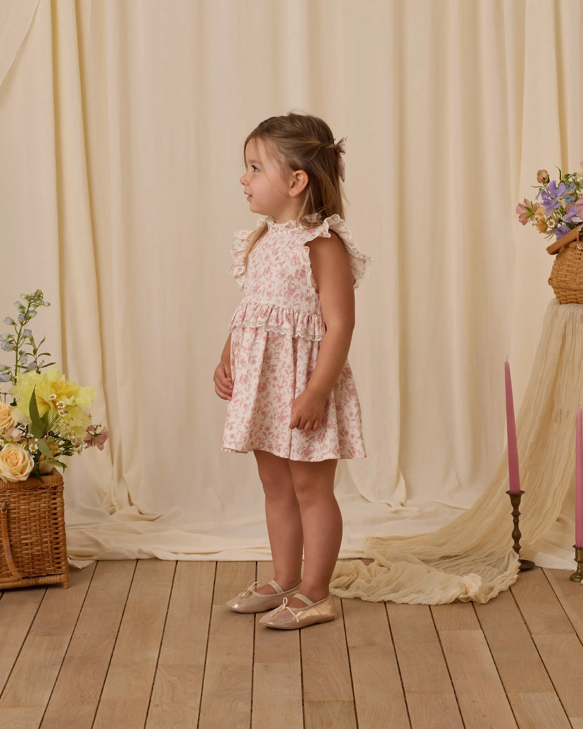 Noralee Alice Dress - Pink Toile