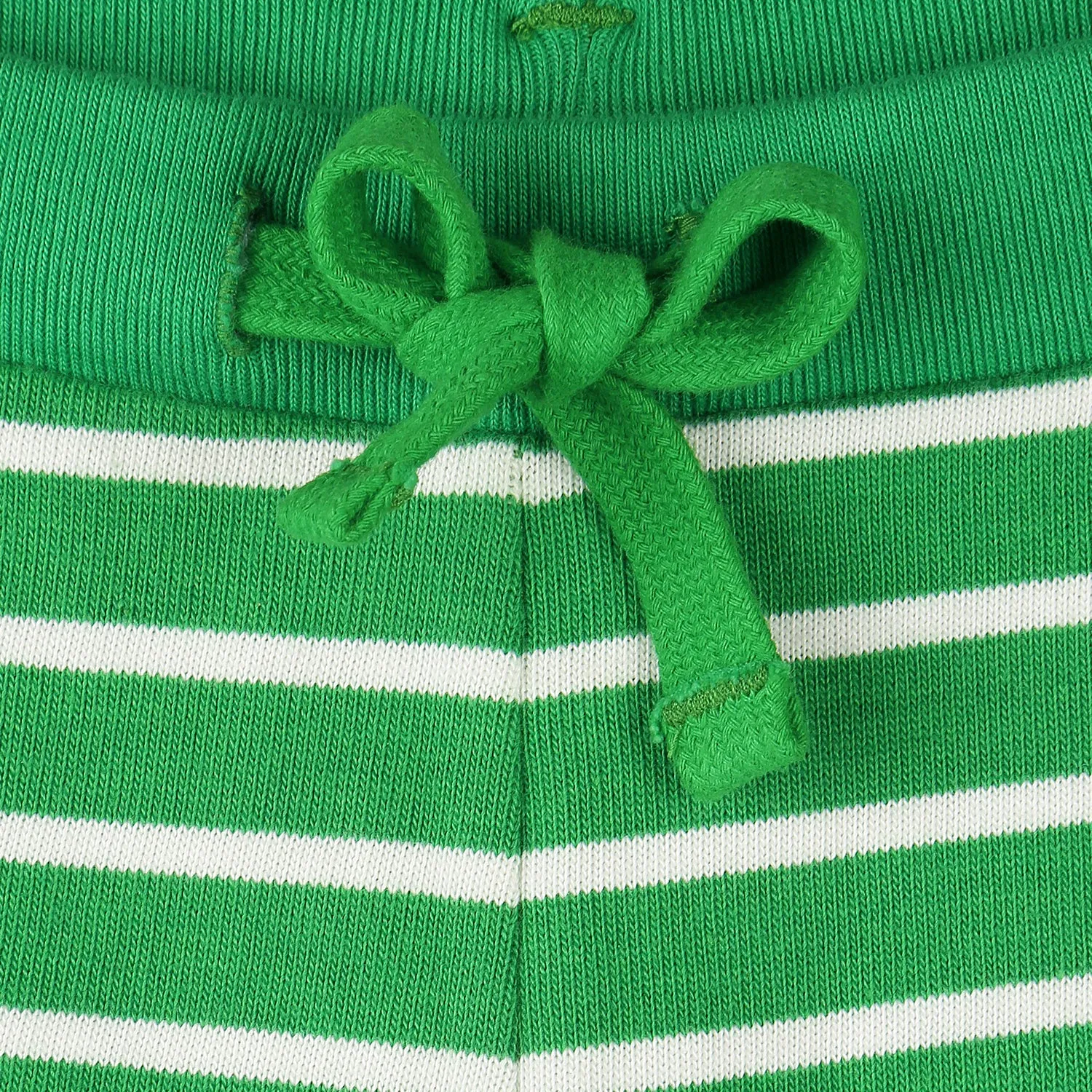 Temperate Shorts