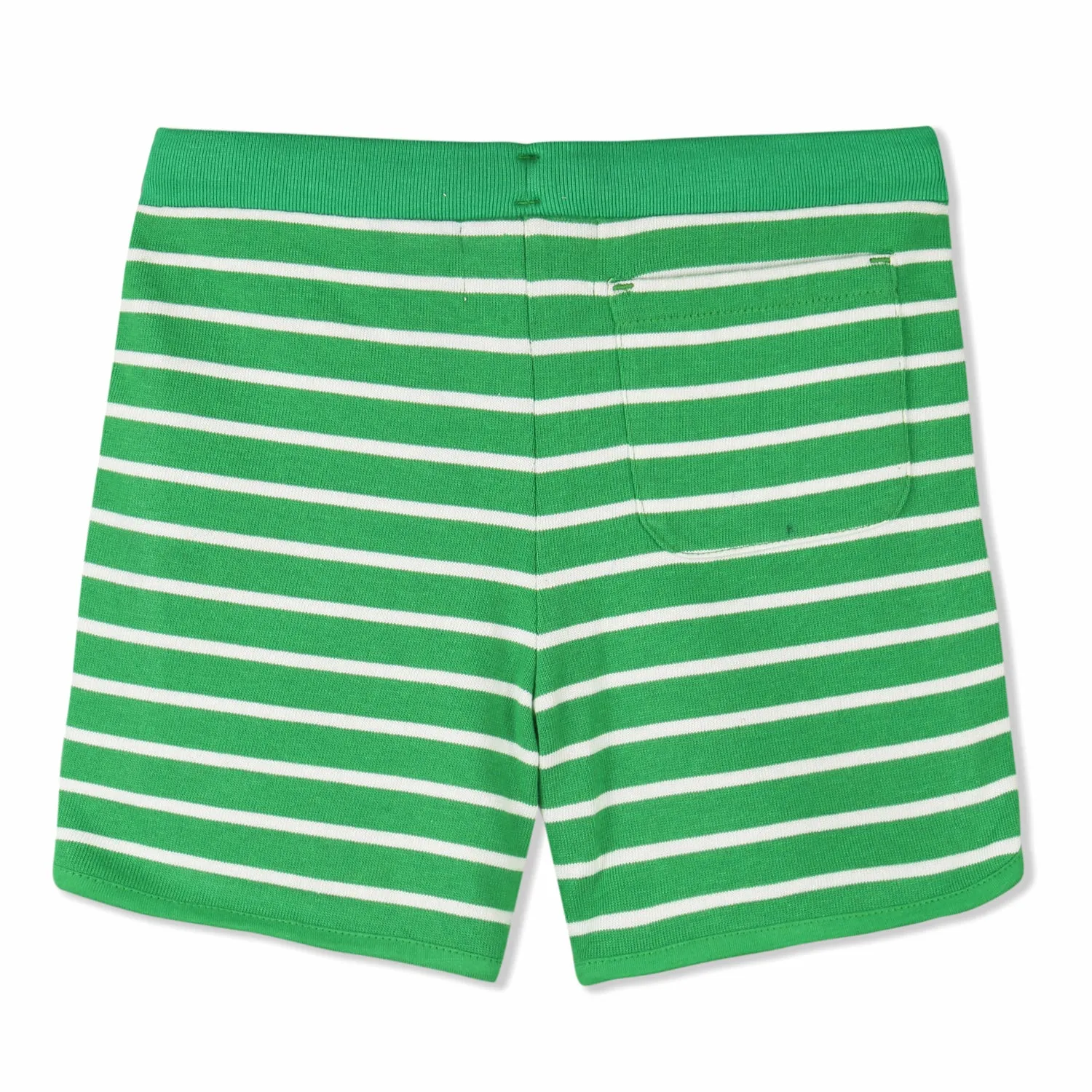 Temperate Shorts
