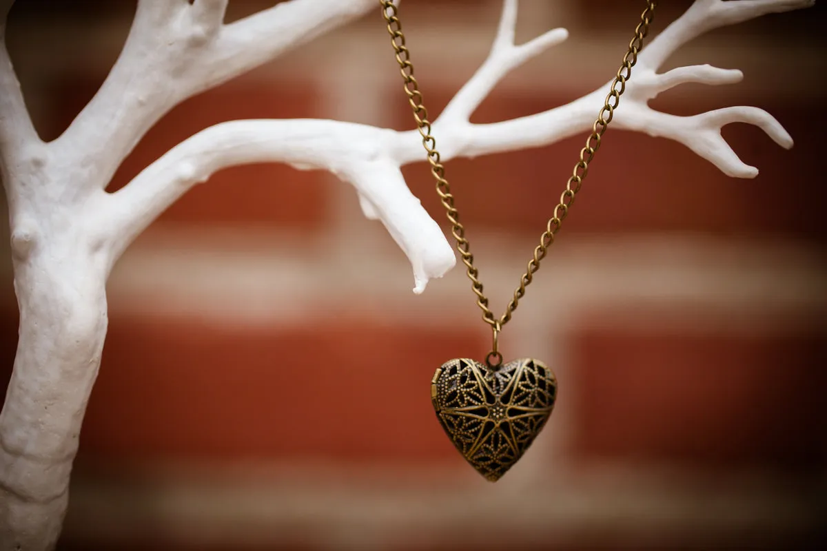 The Lorelie Locket (Brass & Silver)