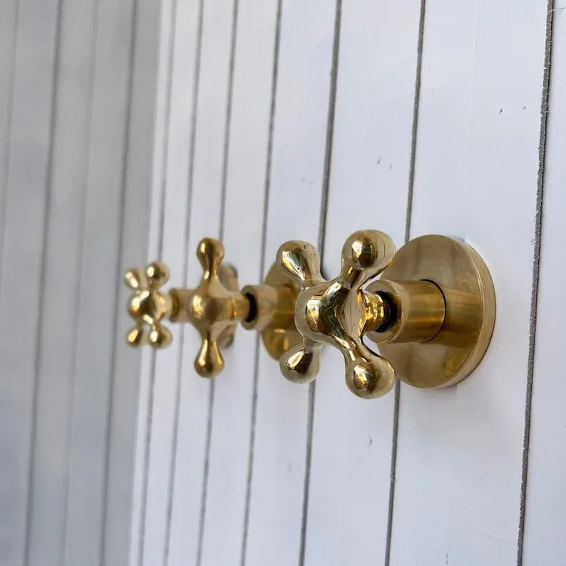 Unlacquered Brass Shower Set - Vintage Brass Shower with Handheld Shower & Shower Head